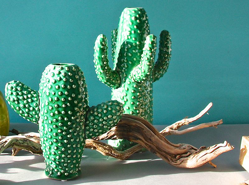 Green, Wood, Organism, Adaptation, Terrestrial plant, Teal, Turquoise, Natural material, Cactus, Driftwood, 