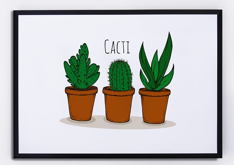 Green, Leaf, Flowerpot, Botany, Terrestrial plant, Flowering plant, Houseplant, Cactus, Caryophyllales, Thorns, spines, and prickles, 