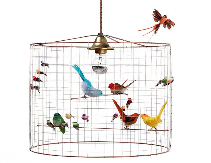 Bird, Pet supply, Bird supply, Net, Feather, Wing, Illustration, Cage, Creative arts, Bird feeder, 