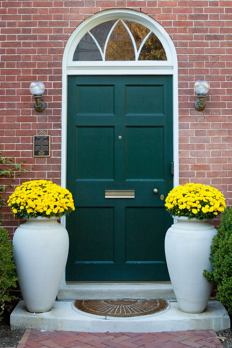 Blue, Flowerpot, Green, Yellow, Plant, Door, Flower, Brick, House, Home door, 