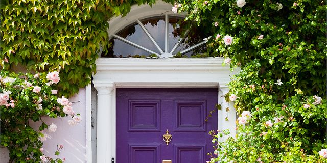 Wood, Green, Property, Door, Purple, Home door, House, Real estate, Fixture, Shrub, 