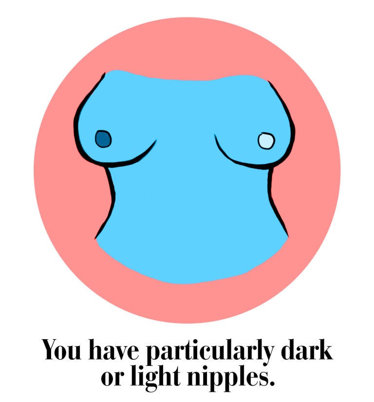 Red, Circle, Graphics, Illustration, Marine mammal, 