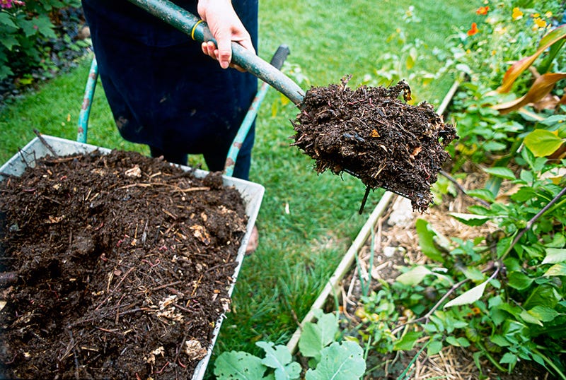 Soil, Compost, Gardening, Natural material, Plantation, Annual plant, Garden tool, Perennial plant, Mulch, 