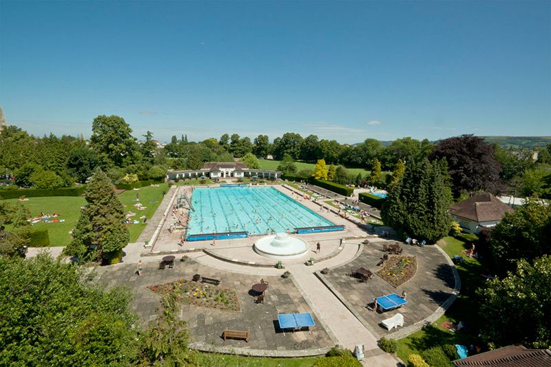 Swimming pool, Plant, Tree, Garden, Aqua, Shrub, Landscaping, Aerial photography, Yard, Resort town, 