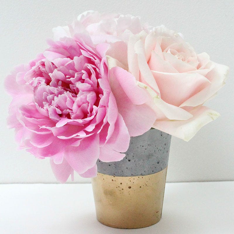 Petal, Flower, Pink, Cut flowers, Flowering plant, Peach, Artifact, Rose family, Flower Arranging, Garden roses, 