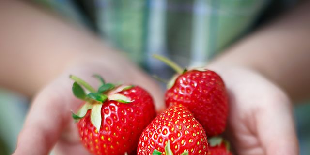 Natural foods, Strawberry, Strawberries, Fruit, Berry, Accessory fruit, Frutti di bosco, Plant, Food, Superfruit, 