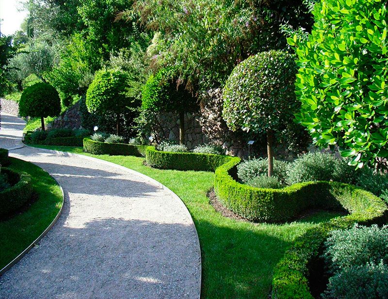 Grass, Shrub, Plant, Garden, Hedge, Walkway, Groundcover, Park, Lawn, Landscaping, 
