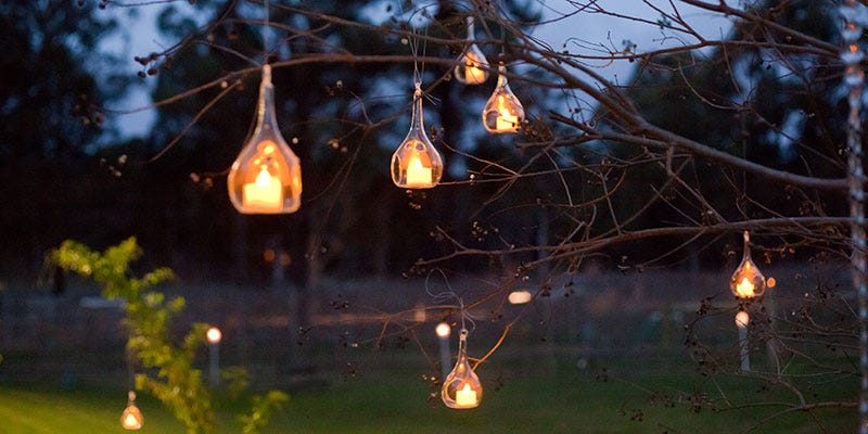 Branch, Lighting, Twig, Amber, Light, Electricity, Lighting accessory, Light fixture, Holiday, Incandescent light bulb, 