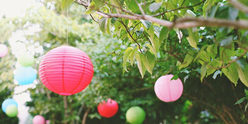Branch, Leaf, Pink, Magenta, Woody plant, Colorfulness, Tints and shades, Lantern, Sphere, Twig, 