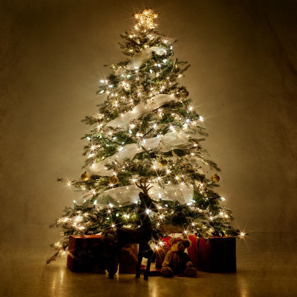 Christmas tree, Tree, Christmas, Christmas ornament, Christmas decoration, Spruce, oregon pine, Christmas lights, Colorado spruce, Woody plant, 