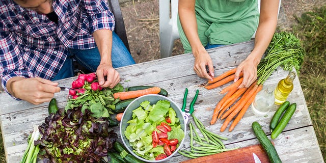 Hand, Community, Vegetable, People in nature, Produce, Local food, Sharing, Food group, Whole food, Leaf vegetable, 