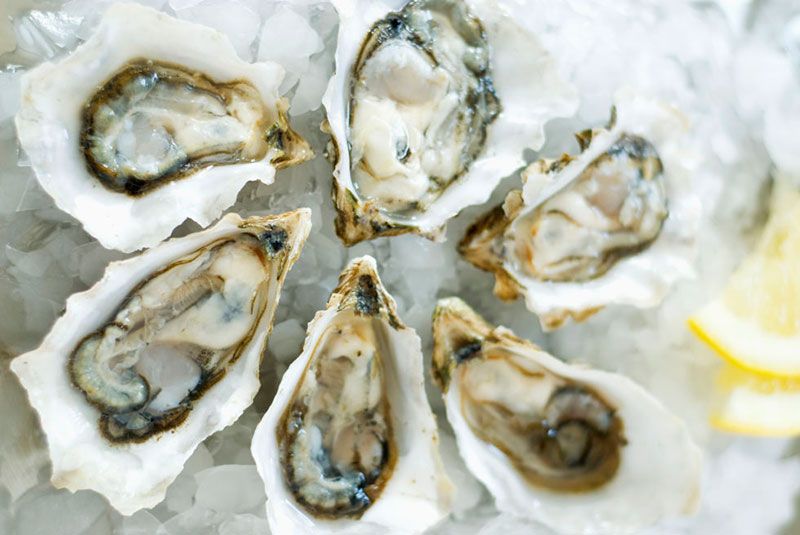 Oyster, Ingredient, Bivalve, Food, Natural material, Shellfish, Seafood, Shell, Abalone, Molluscs, 