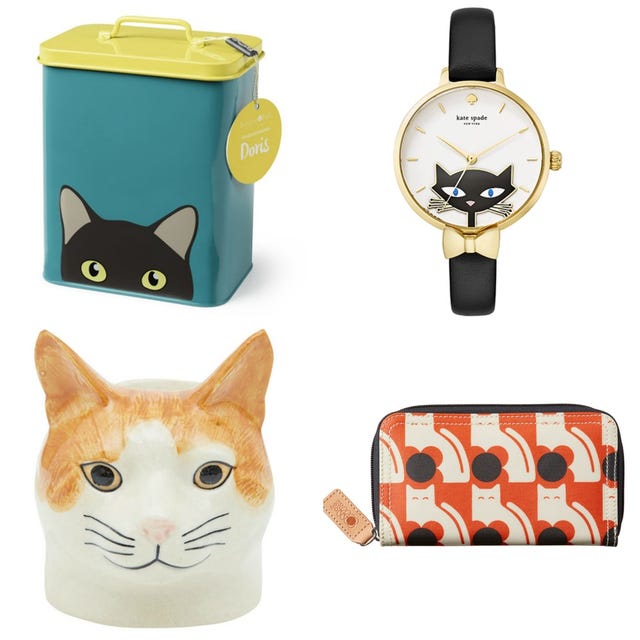 Yellow, Vertebrate, Watch, Felidae, Whiskers, Small to medium-sized cats, Cat, Carnivore, Font, Orange, 