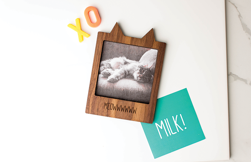 Marine mammal, Paper, Paper product, 