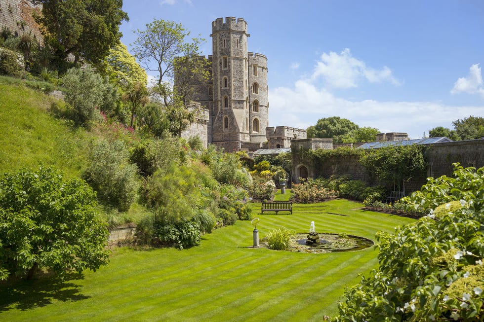 Plant, Garden, Shrub, Park, Groundcover, Yard, Lawn, Castle, Landscaping, Hedge, 