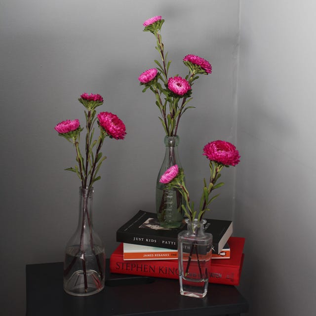 Flower, Petal, Magenta, Pink, Artifact, Flowering plant, Floristry, Flower Arranging, Cut flowers, Vase, 