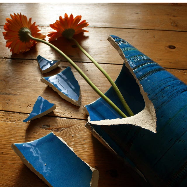 Blue, Petal, Leaf, Feather, Natural material, Hardwood, Flowering plant, Electric blue, Majorelle blue, Cobalt blue, 
