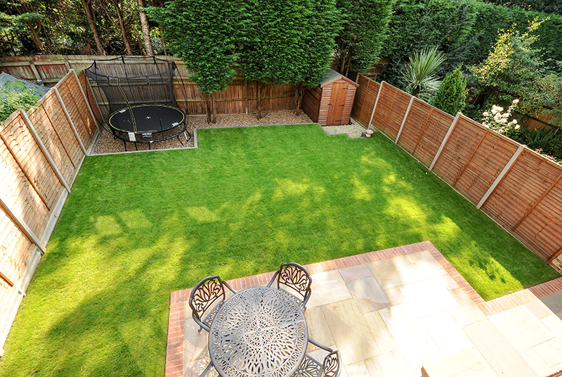 Grass, Plant, Garden, Shrub, Backyard, Yard, Lawn, Home fencing, Landscaping, Courtyard, 