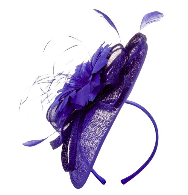 Blue, Feather, Purple, Violet, Electric blue, Natural material, Cobalt blue, Lavender, Costume accessory, Animal product, 