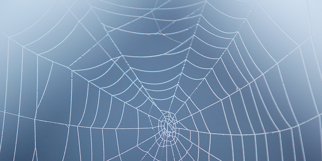 Spider web, Water, Blue, Atmospheric phenomenon, Line, Sky, Pattern, Atmosphere, Invertebrate, Electric blue, 