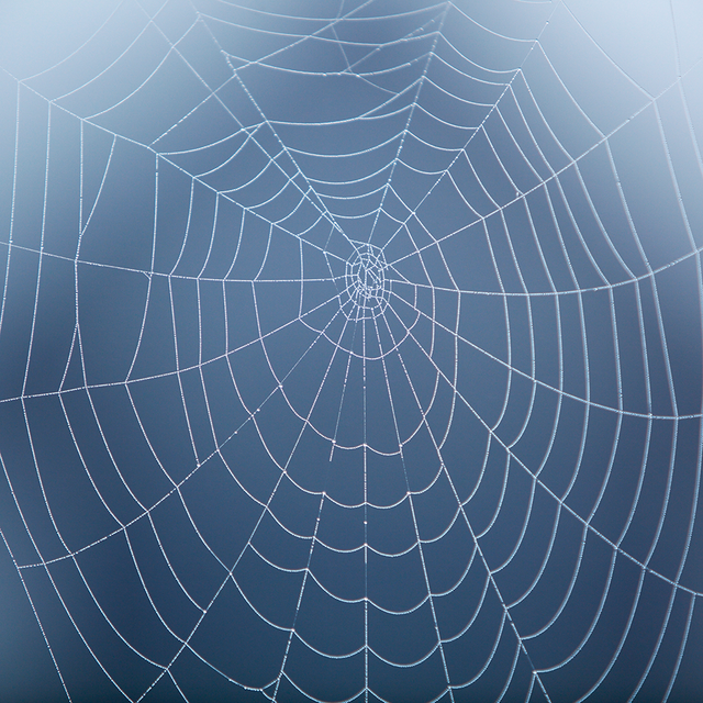 Blue, Line, Colorfulness, Black, Electric blue, Space, Spider web, Circle, Symmetry, Stock photography, 