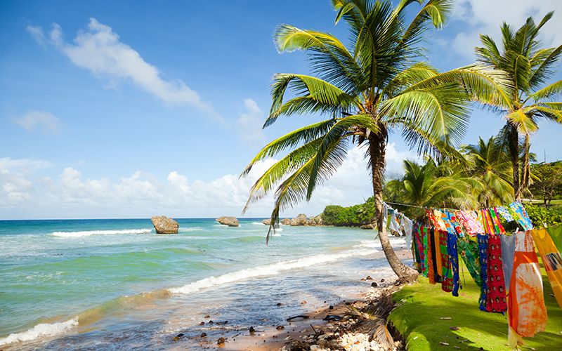 Coastal and oceanic landforms, Shore, Coast, Ocean, Tourism, Beach, Woody plant, Tropics, Arecales, Caribbean, 