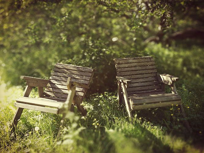 Wood, Nature, Bench, Outdoor bench, Natural landscape, Furniture, Outdoor furniture, Street furniture, Deciduous, Sunlight, 