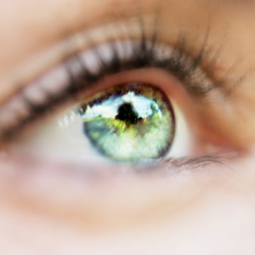 Brown, Green, Eyelash, Eyebrow, Photograph, Colorfulness, Iris, Amber, Beauty, Organ, Brown, Green, Eyelash, Eyebrow, Photograph, Colorfulness, Iris, Amber, Beauty, Organ,