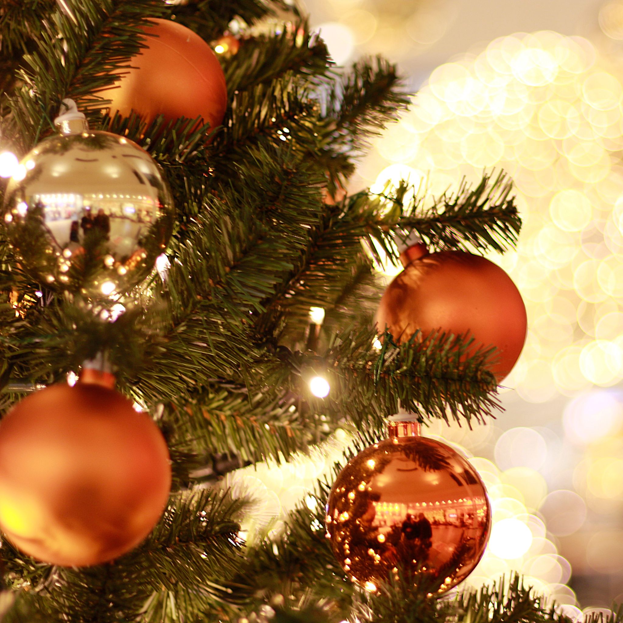 Christmas tree, Christmas ornament, Tree, Christmas decoration, Christmas, Branch, Christmas eve, Fir, Spruce, oregon pine, 