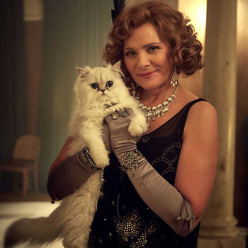 Human, Carnivore, Small to medium-sized cats, Felidae, Cat, Whiskers, Jewellery, Fur, Blond, Necklace, 