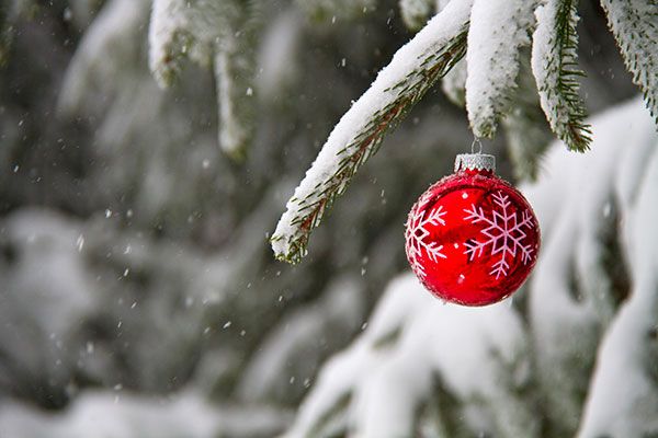 Branch, Winter, Christmas decoration, Christmas ornament, Carmine, Holiday ornament, Freezing, Christmas, Snow, Sphere, 