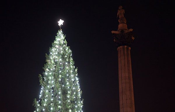 Christmas decoration, Night, Darkness, Landmark, Light, Christmas tree, Tower, Midnight, Holiday, Christmas lights, 