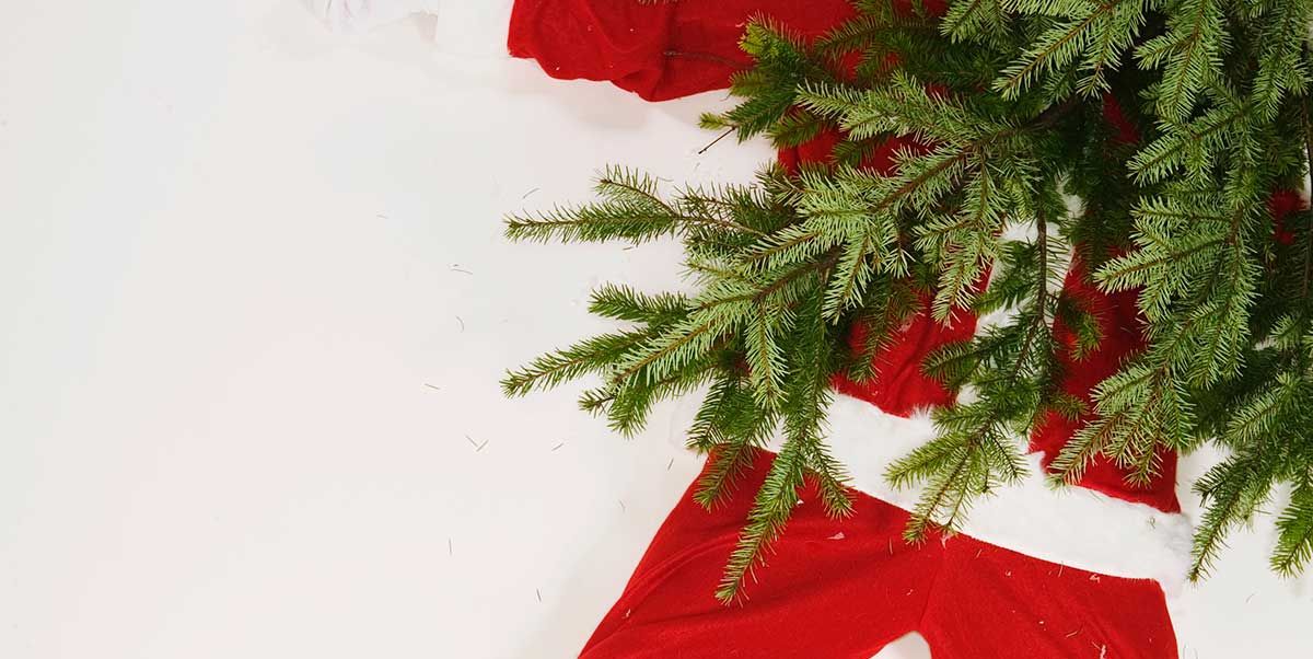 Red, Footwear, Christmas, Tree, Christmas decoration, Carmine, Plant, Shoe, Trousers, Santa claus, 