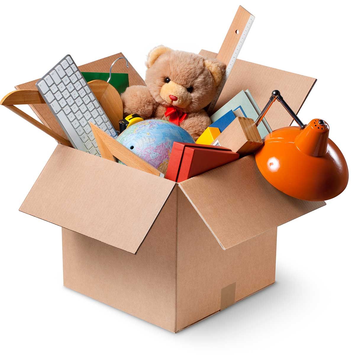 Toy, Stuffed toy, Plush, Teddy bear, Paper product, Baby toys, Cardboard, Box, Carton, Packing materials, 