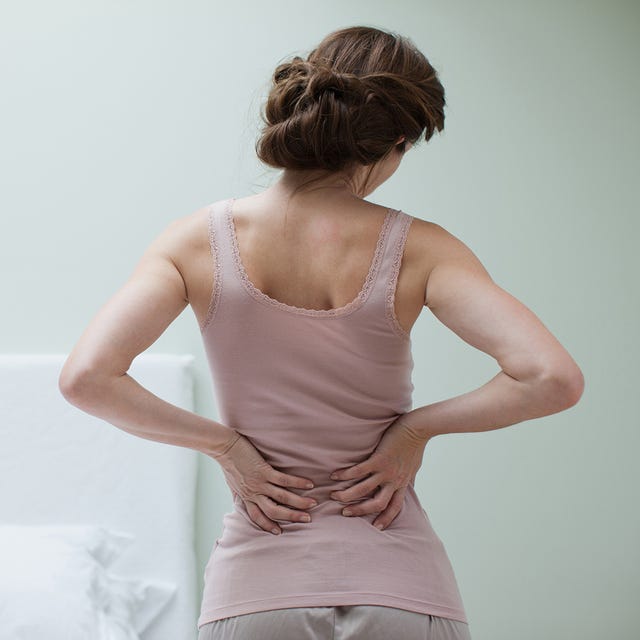 Shoulder, Elbow, Joint, Waist, Back, Neck, Trunk, Abdomen, Hip, Bun, 