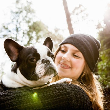 Dog, Carnivore, Vertebrate, Mammal, People in nature, Organ, Cap, Snout, Dog breed, Bulldog, 