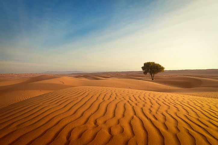 Nature, Sand, Brown, Natural environment, Erg, Aeolian landform, Dune, Landscape, Desert, Horizon, 