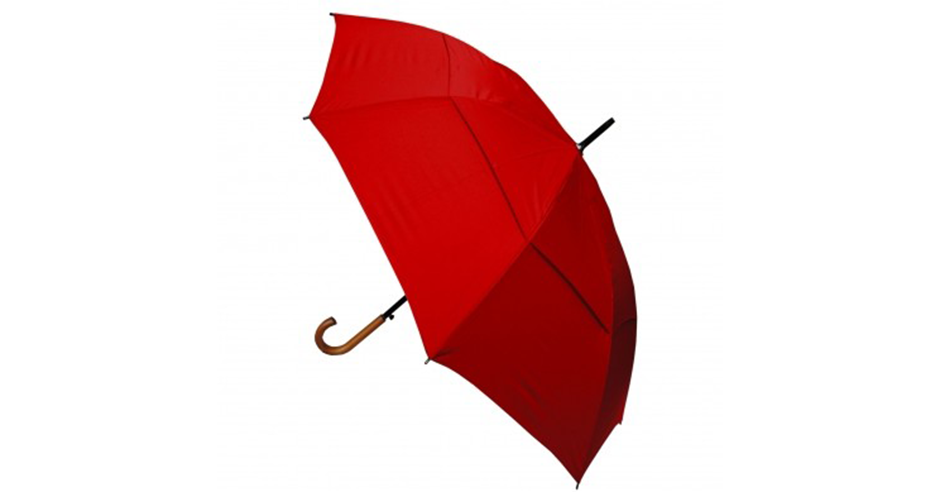 Umbrella, Leaf, Red, Fashion accessory, Plant, 
