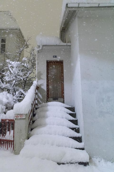 Winter, Stairs, Freezing, Snow, Blizzard, Winter storm, Home, Precipitation, Door, Frost, 