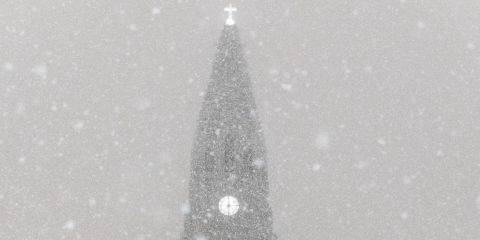 White, Tree, Atmospheric phenomenon, Christmas tree, Water, Snow, Winter, Freezing, Black-and-white, Frost, 