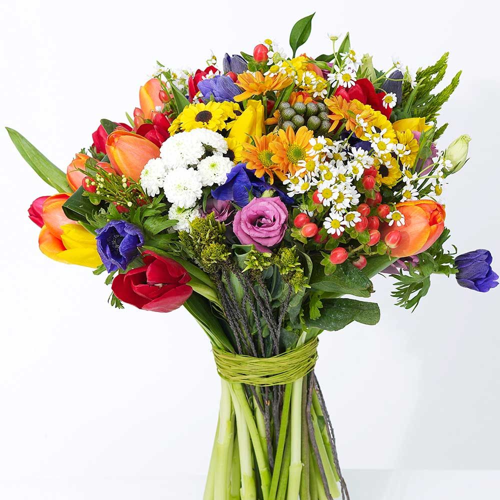 Flower, Bouquet, Flower Arranging, Cut flowers, Floristry, Plant, Flowering plant, Floral design, Rose, Botany, 
