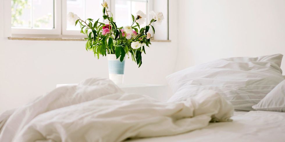 Bed sheet, White, Bed, Room, Bedding, Furniture, Bedroom, Flower, Textile, Plant, 