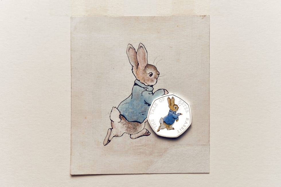 Hare, Rabbit, Watercolor paint, Illustration, Rabbits and Hares, Art, Domestic rabbit, Drawing, Still life, Paper, 