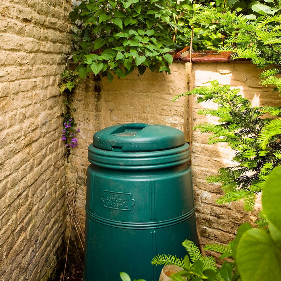 Green, Leaf, Waste containment, Teal, Gas, Waste container, Cylinder, Groundcover, Brick, Shrub, 