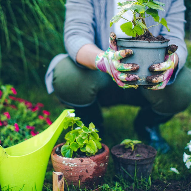 how to make compost