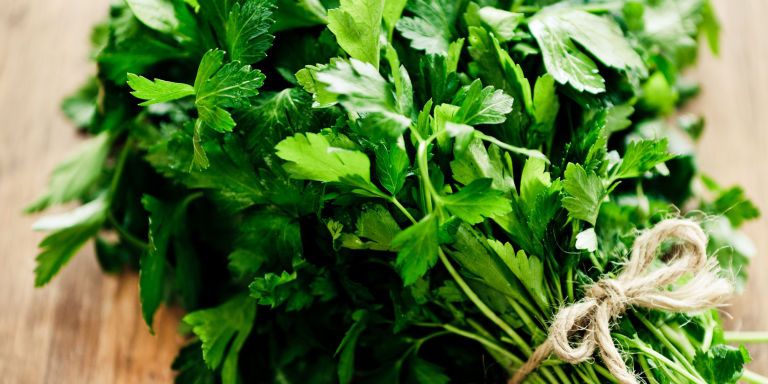 Leaf, Leaf vegetable, Herb, Ingredient, Fines herbes, Coriander, Parsley, Chinese celery, Perennial plant, Parsley family, 