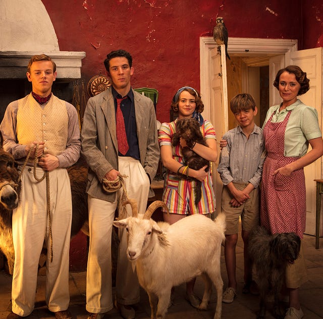Goats, Event, Cow-goat family, Scene, Drama, Livestock, Art, 