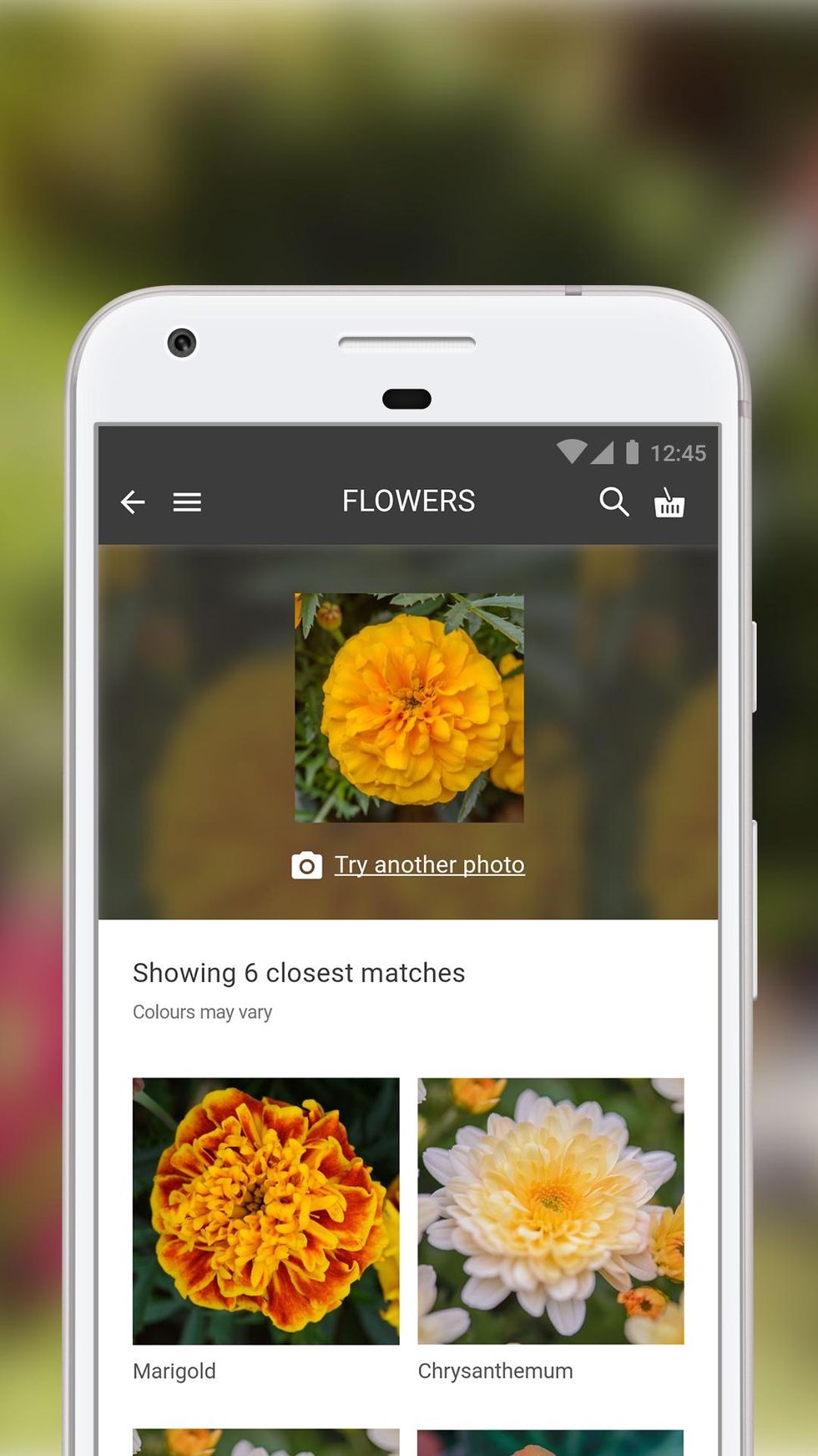 Flower, Petal, Yellow, Plant, Wildflower, Screenshot, Flowering plant, Technology, Website, Photography, 