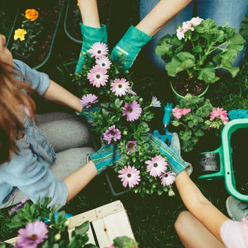 Green, Flower, Plant, Bouquet, Hand, Spring, Floral design, Floristry, Leaf, Summer, 
