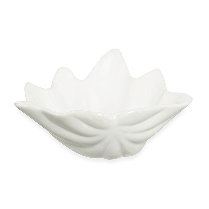 White, Soap dish, Bowl, Tableware, Petal, Ceramic, Porcelain, 